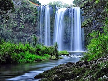 Whangarei Falls