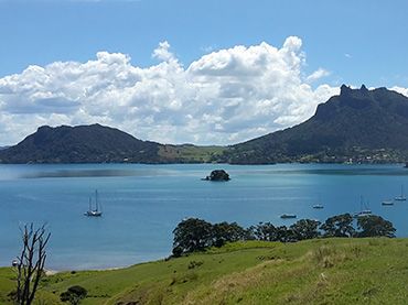 Whangarei Heads and Tutukaka Coastline