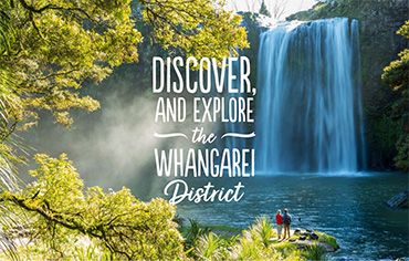 Whangarei Activities